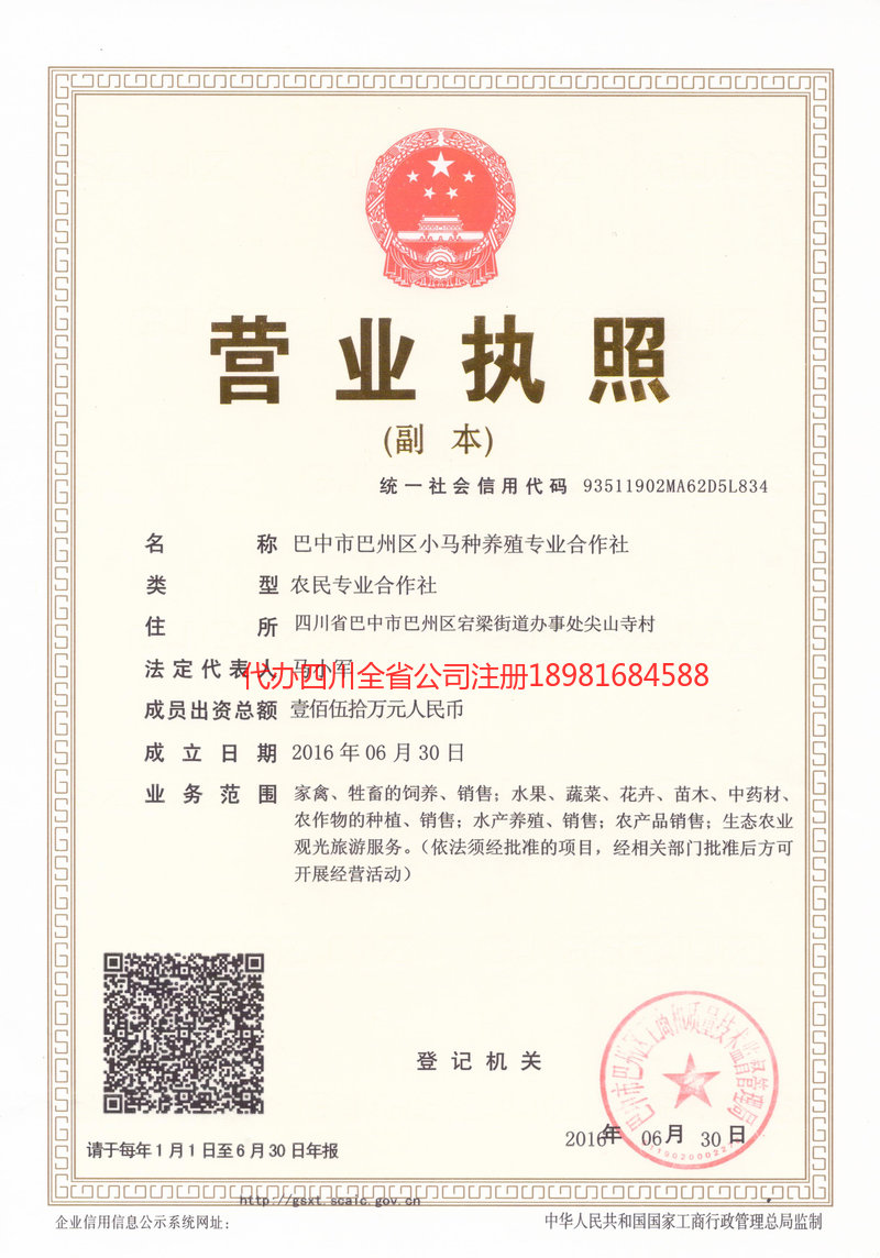 德兴德兴小马种养殖专业合作社